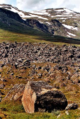 Mountains (32).jpg